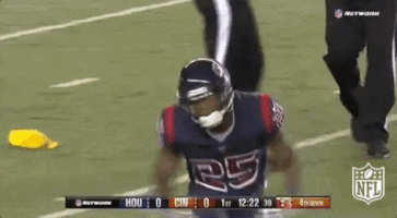 houston texans football GIF by NFL