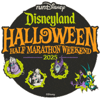 Disneyland Rundisney Sticker by Disney Sports