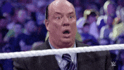 paul heyman wrestling GIF by WWE
