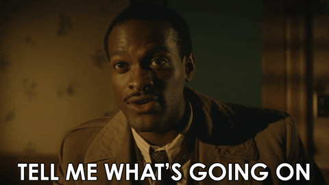 GIF by Paramount+