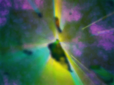 MFDtheArtist giphyupload dance art trippy GIF