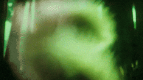 Fun Get Hyped GIF by Magic Eden