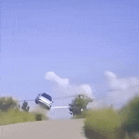 Tesla Bad Driver GIF by Respective