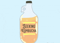 Seekingkombucha kombucha GIF
