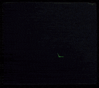 Green Fire GIF by goodjuan