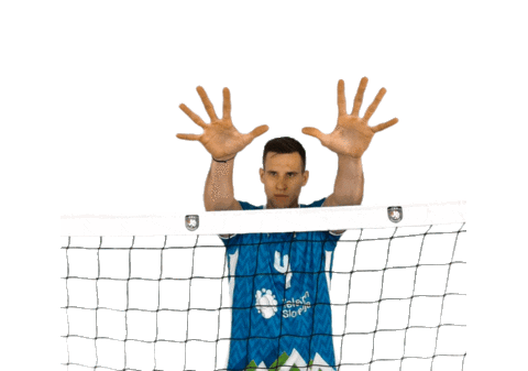 Volleyball Block Sticker by Generali.si