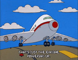 the simpsons outside of an airplane GIF