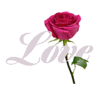 In Love Heart Sticker by Flower Addict