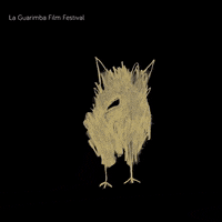Art Animation GIF by La Guarimba Film Festival