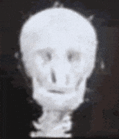 Skull V GIF