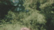 cult gamma knife GIF by King Gizzard & The Lizard Wizard