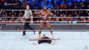 wwe sports wwe wrestling summerslam GIF