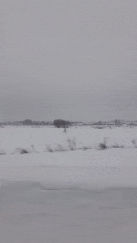 Eryk_Kmiecik snow winter bombing eryk kmiecik GIF