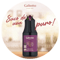 vinhosgaliotto uva suco galiotto breez Sticker