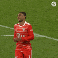 Football Running GIF by FC Bayern Munich