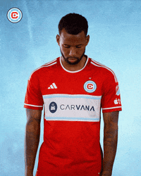 Major League Soccer Mls GIF by Chicago Fire Football Club