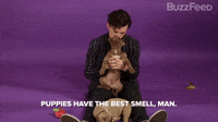 The Best Smell