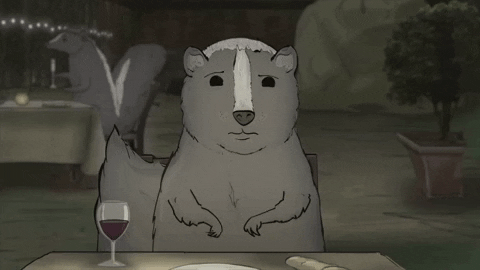 season 1 cats GIF by Animals