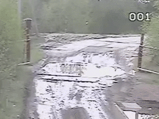 fire truck GIF