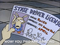 rockos modern life nicksplat GIF