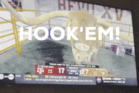 Texas Longhorns GIF