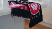 wswanderersfc reaction football wanderers western sydney wanderers GIF