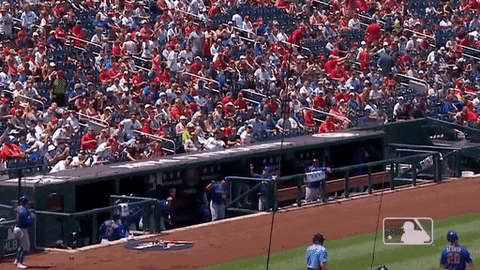 Ny Mets Bat GIF by New York Mets