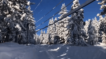 Snow Blankets California's Lake Tahoe After Winter Storm
