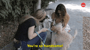 Dogs International Dog Day GIF by BuzzFeed