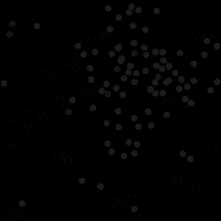 lorenaknnot party celebrate fiesta confetti GIF