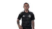 football mexico Sticker by MiSelecciónMX