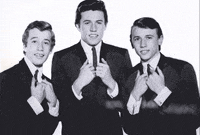 beegees bee gees GIF