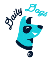 Happy Dog Sticker by Daily Hive