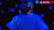 Bbau GIF by Big Brother Australia