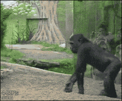 dad son GIF
