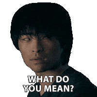 What Do You Mean Avatar The Last Airbender Sticker by NETFLIX