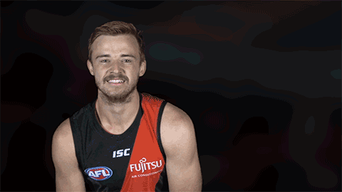 goal afl GIF by Essendon FC
