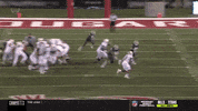 gostanford  GIF