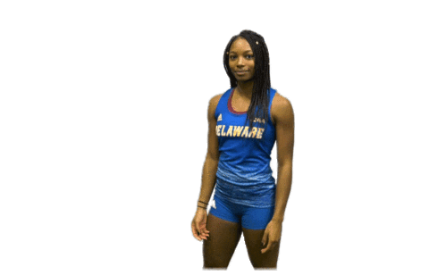 College Sports Ncaa Sticker by Delaware Blue Hens