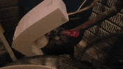 Leaksmart leak leaked leaks waterleak GIF