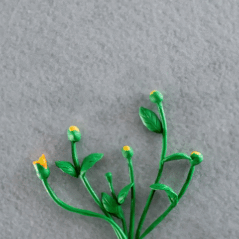 miguelduarte-stopmotion giphyupload animation flower mexico GIF