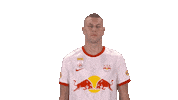 Rbs Aye Aye Captain Sticker by FC Red Bull Salzburg