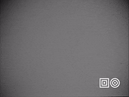 Fashion Summer GIF by Beeld & Geluid