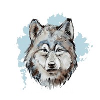 Wolf Pack Sticker by Shop Dixi