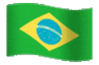 brazil STICKER