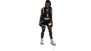 Naisten Korisliiga Sticker by Basket_fi