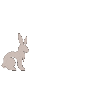 Wedding Rabbit Sticker by SoledadProvens