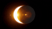 Eclipse Astronomy GIF by Oi