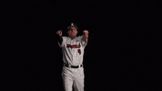 University Of Louisville Baseball GIF by Louisville Cardinals
