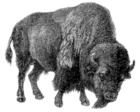 makepicture GIF by extinctrdotcom